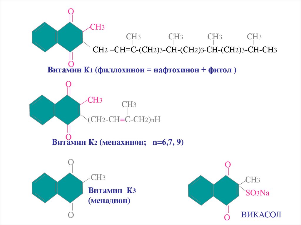 Витамин к презентация биохимия