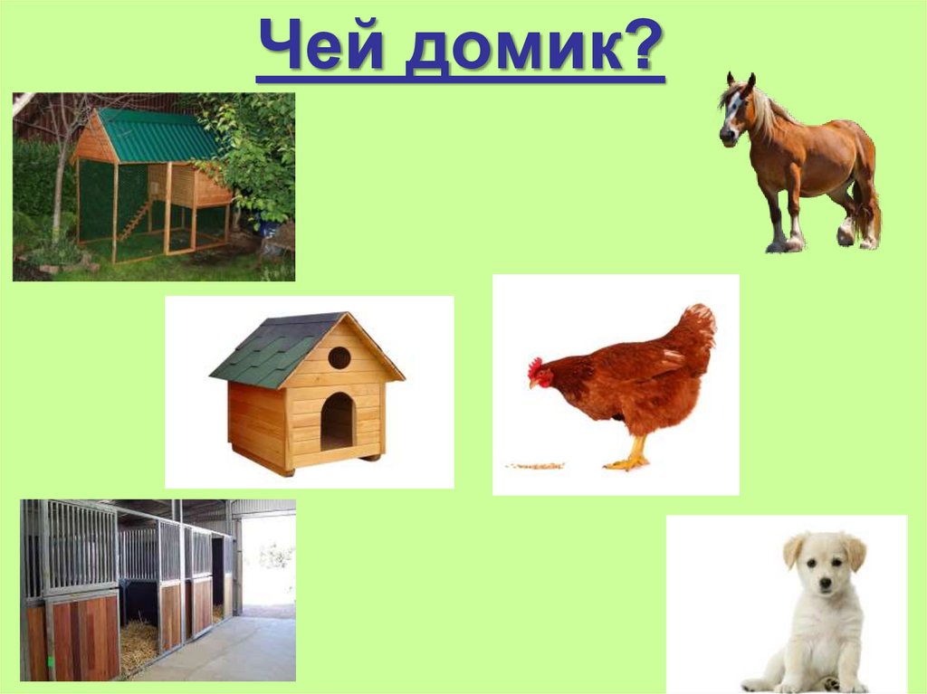 Игра "Домашние животные" - презентация онлайн