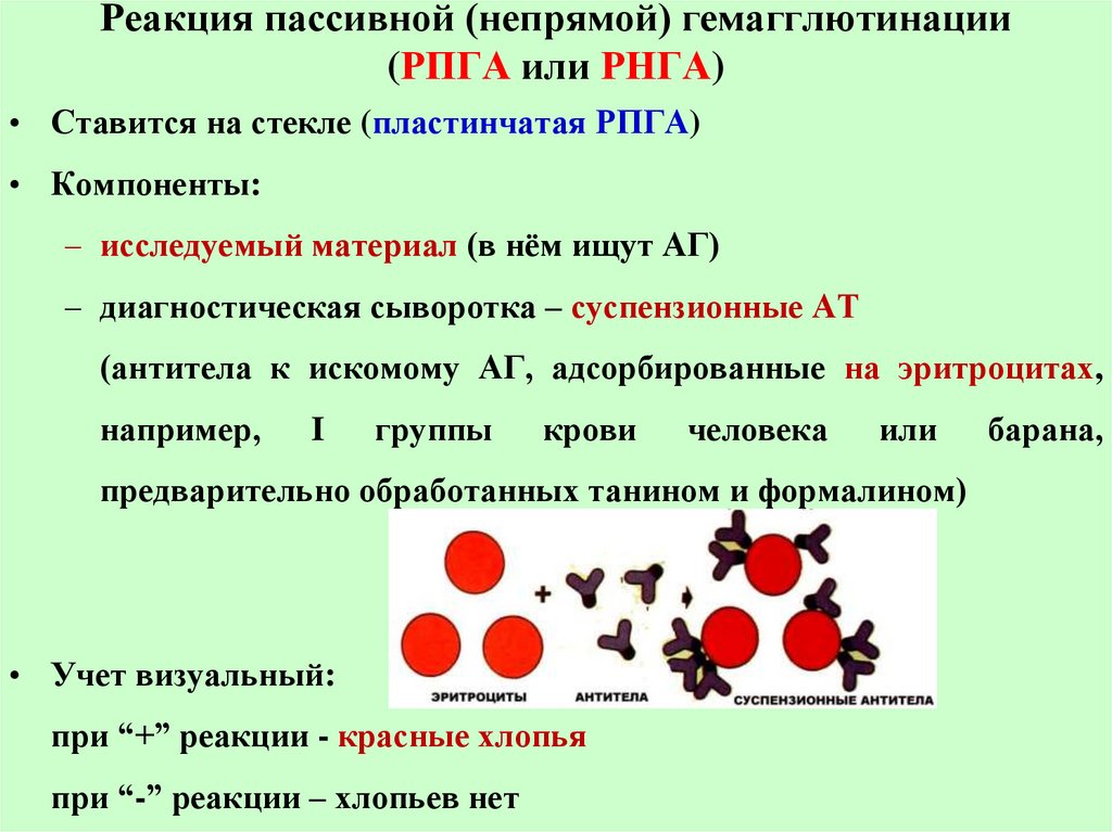 Реакция непрямой (пассивной) гемагглютинации (РНГА, РПГА). Реакция непрямой (пассивной) гемагглютинации. Реакция гемагглютинации. Реакция пассивной гемагглютинации.