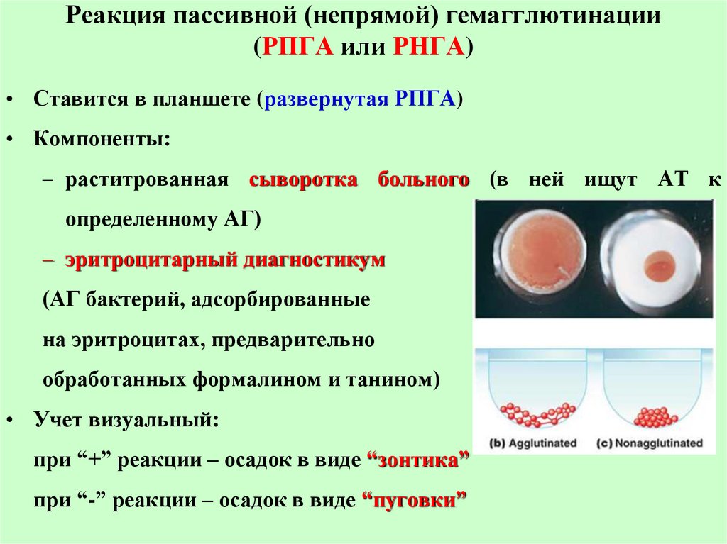 Реакция гемагглютинации