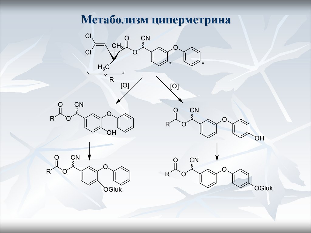 Инсектоакарициды. Модуляторы Na каналов. ДДТ и его аналоги. Пиретрины и ...