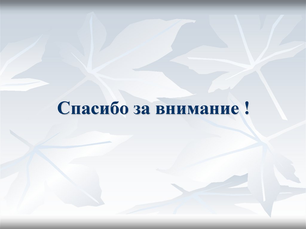 Спасибо за внимание !