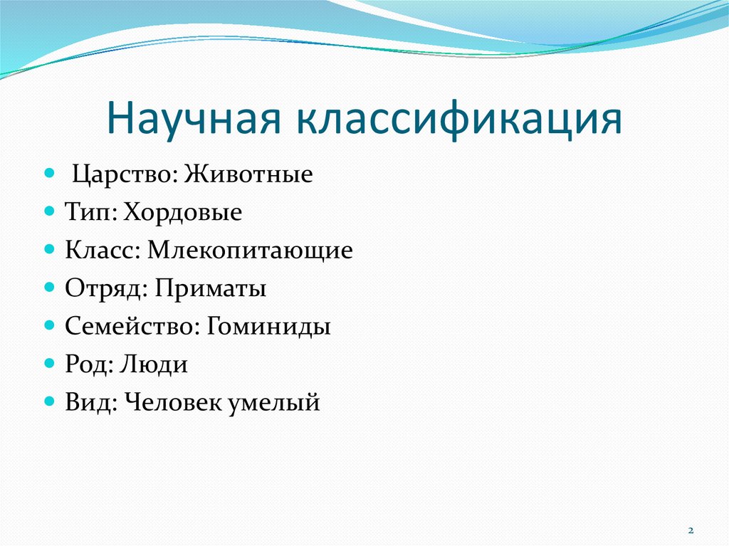 Предшественники человека - online presentation