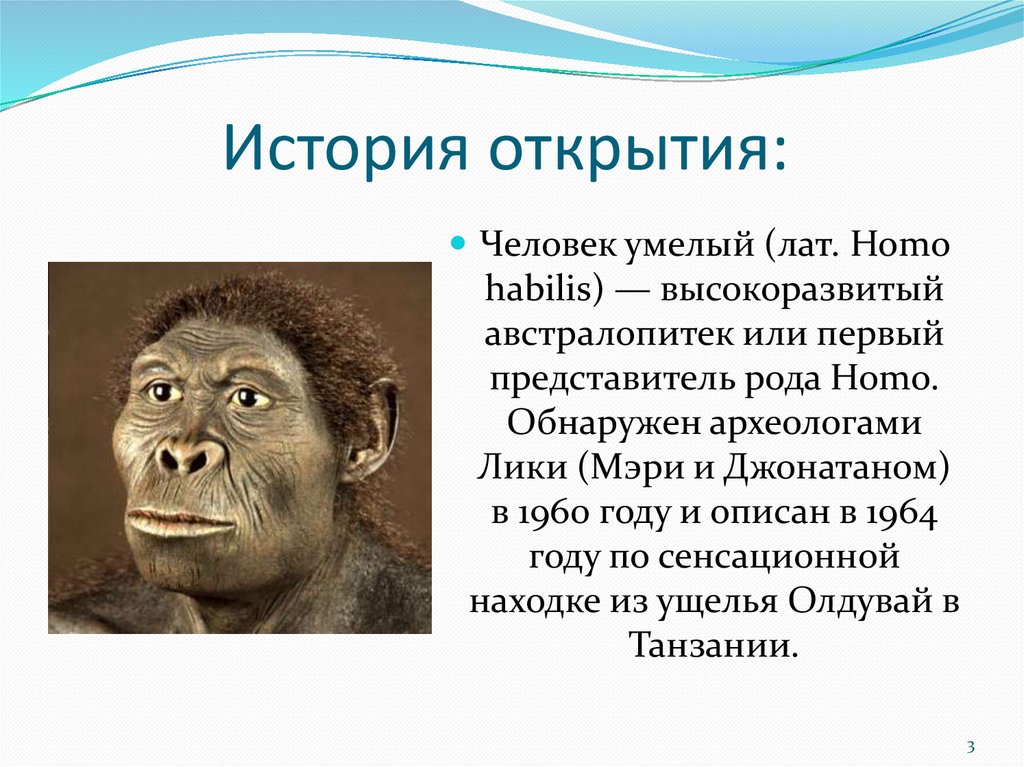 Предшественники человека - online presentation