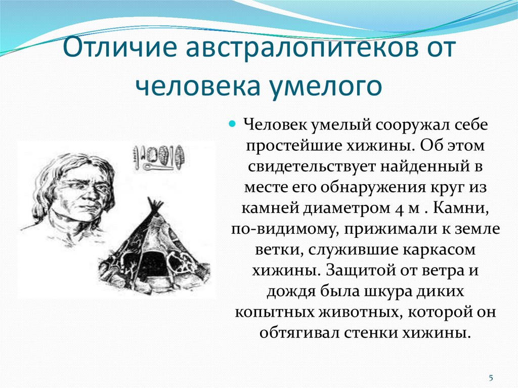 Предшественники человека - online presentation