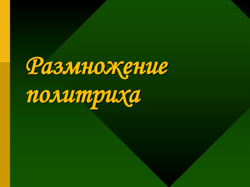 Размножение политриха