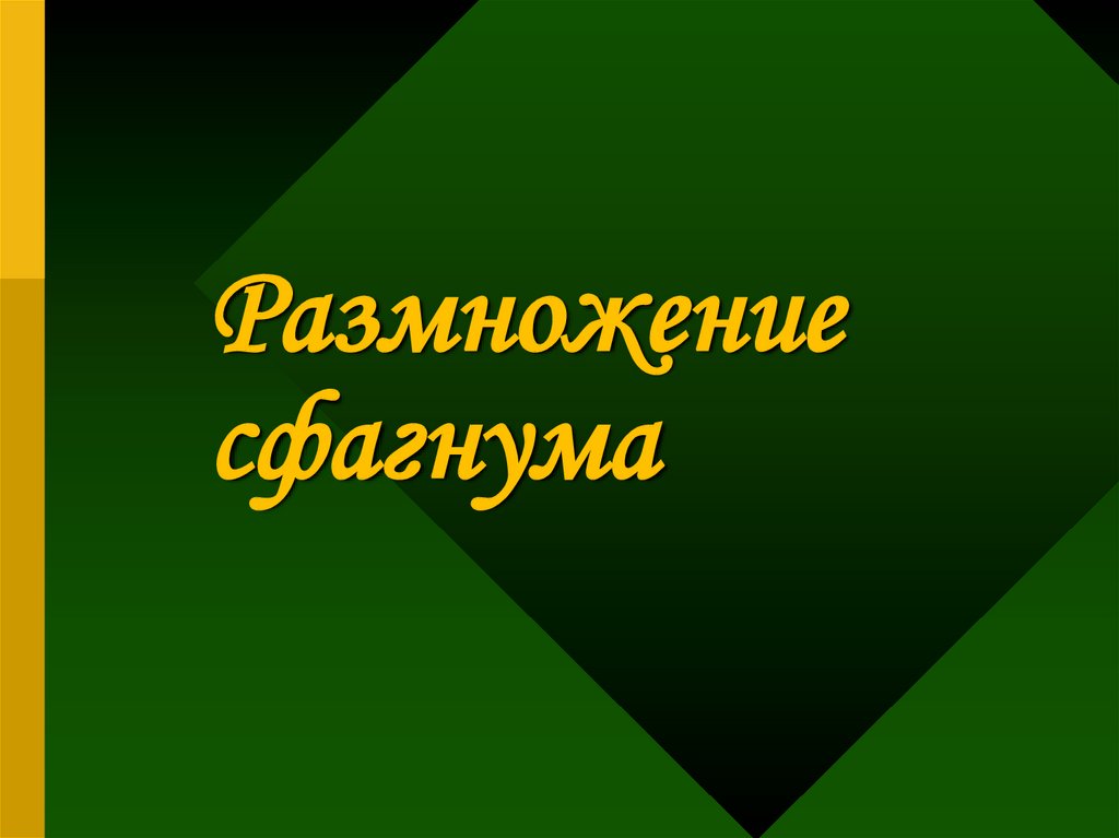 Размножение сфагнума