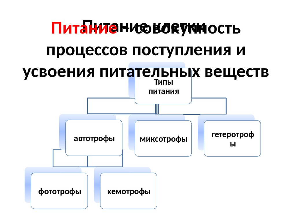 Пластический обмен: фотосинтез и хемосинтез - презентация онлайн