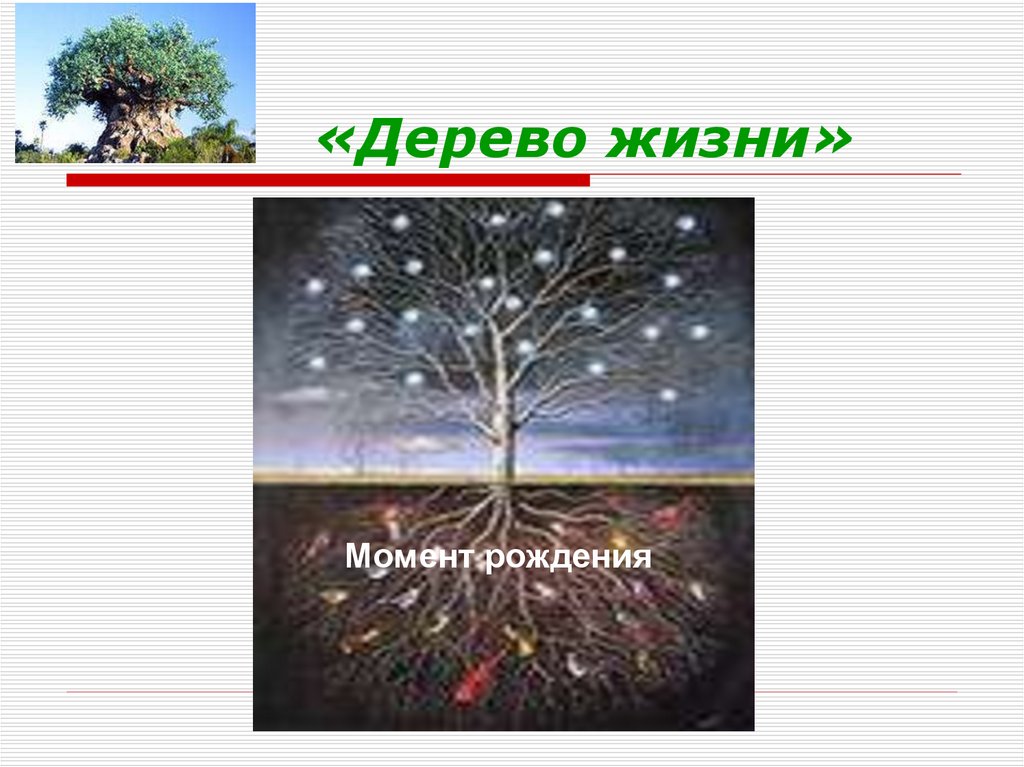 «Дерево жизни»