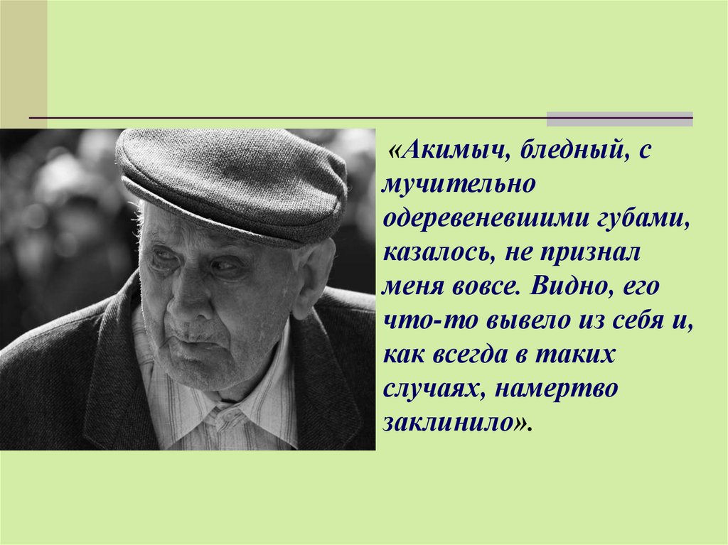 Кем раньше работал акимыч. Акимыч. Портрет Акимыча. Характеристика Акимыча. Акимыч кукла.