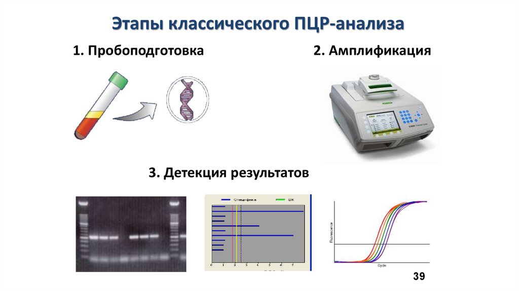 Схема проведения иммунохроматографического анализа. Иммунохроматографический анализ продуктов.