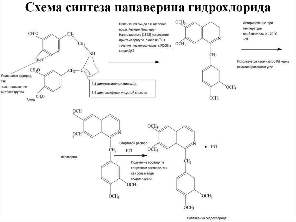 Синтез интернет. Функциональные группы папаверина гидрохлорида. Схема синтеза папаверина. Гидрокортизона Ацетат общая схема синтеза. Папаверина гидрохлорид качественные реакции.