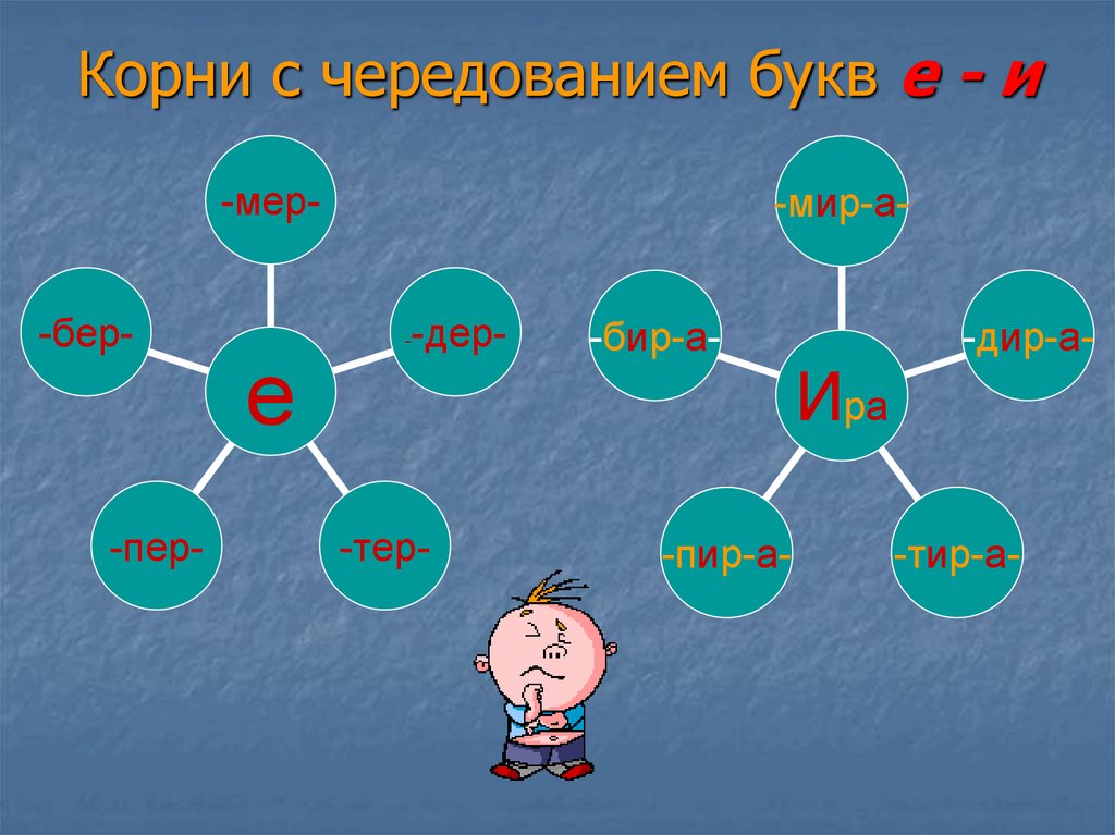 Чередование букв е е. Кластер корней с чередованием. Кластер корни с чередованием. Кластер на тему чередующиеся корни. Кластер по теме:"правописание корней с чередованием"..