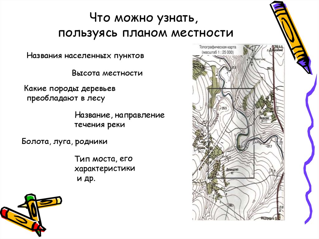 Что можно определить по плану местности