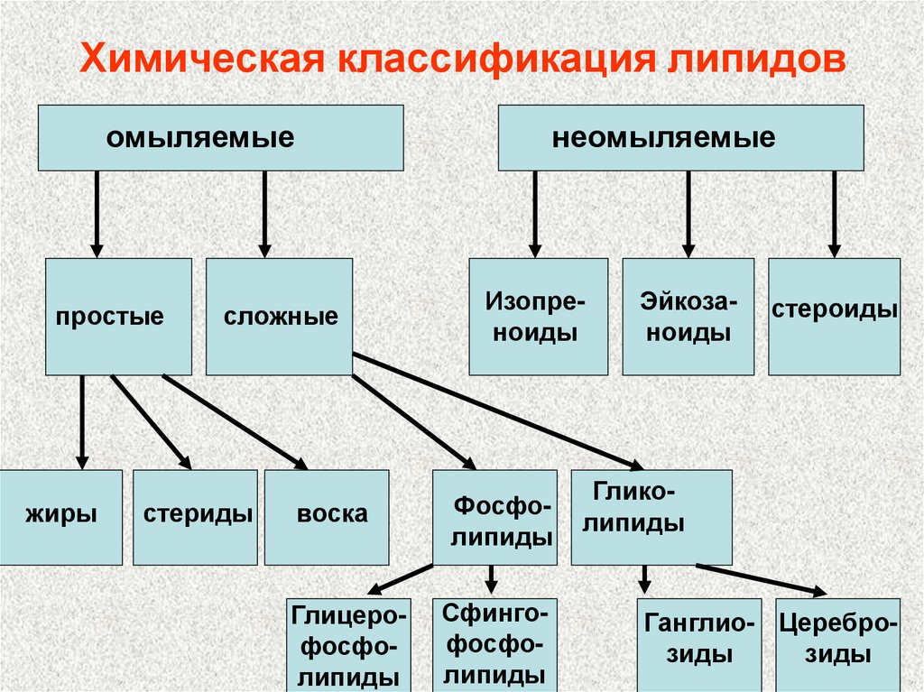 Общий признак липидов