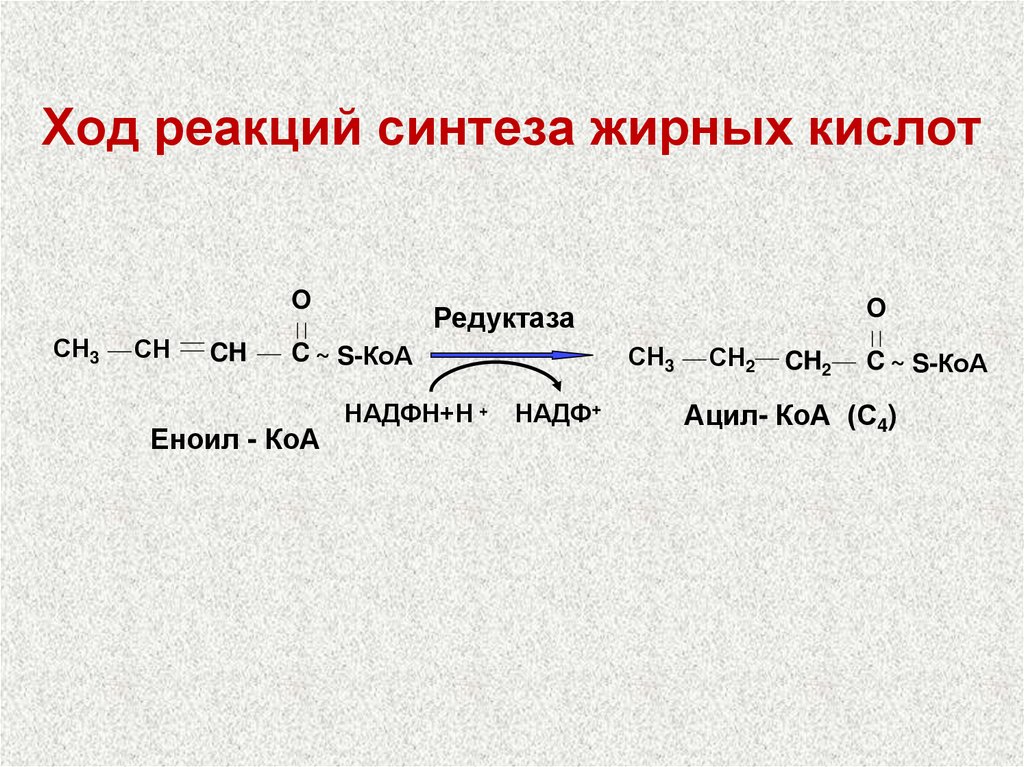 Реакция синтеза пример. Синтез высших жирных кислот реакции. Ход реакции синтеза жирных кислот. Синтез жирных кислот из ацетил КОА реакции. Реакция восстановления жирных кислот..