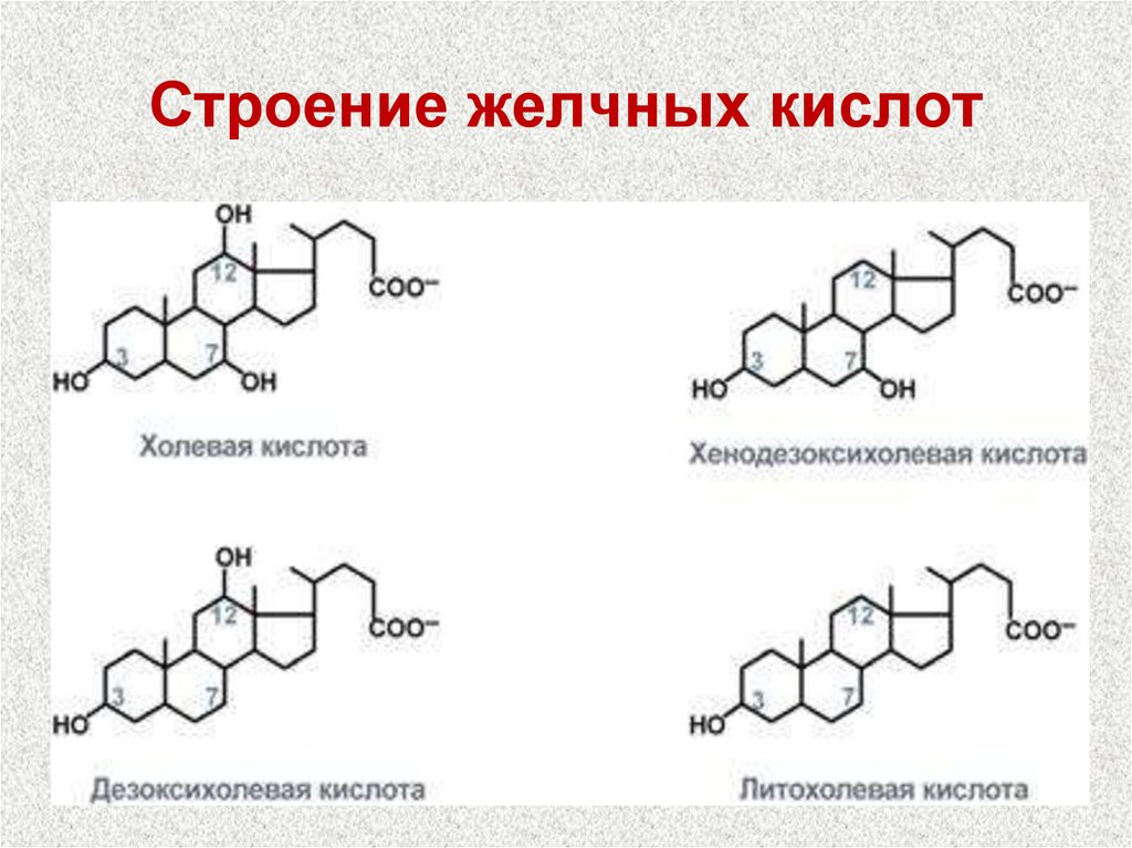 Строение кислот. Строение желчных кислот. Холевая кислота строение. Строение желчных кислот биохимия. Холевая хенодезоксихолевая формулы.