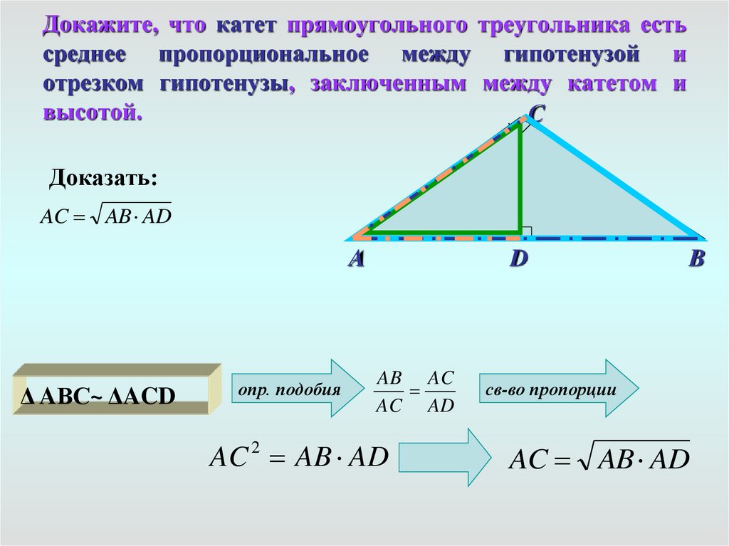 Среди треугольников есть прямоугольные