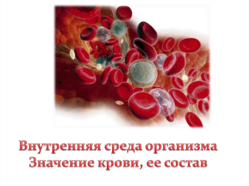 Какого значение крови для организма. Внутренняя среда значение крови и ее состав. Значение крови. Значение крови и ее состав. Кровь и ее состав презентация.