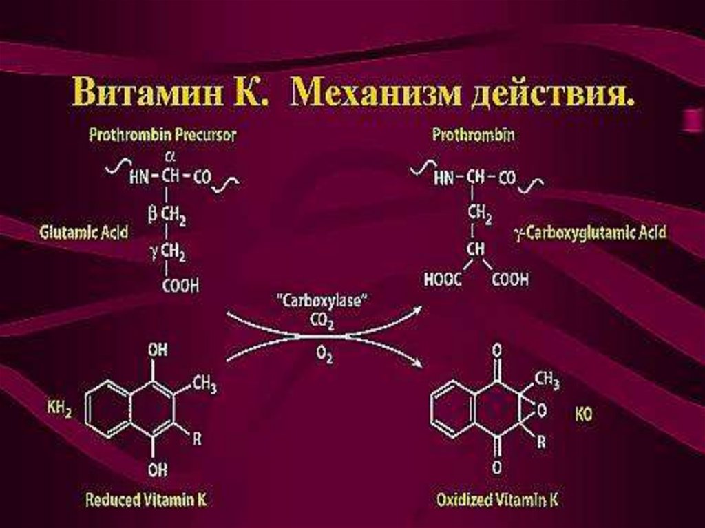 Фибринолитики механизм действия. Кластер механизма действия фибринолитиков. Альтеплаза механизм действия. Менадион формула.