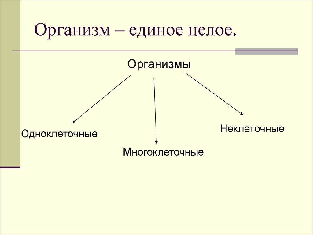 Организм единое целое 6 класс