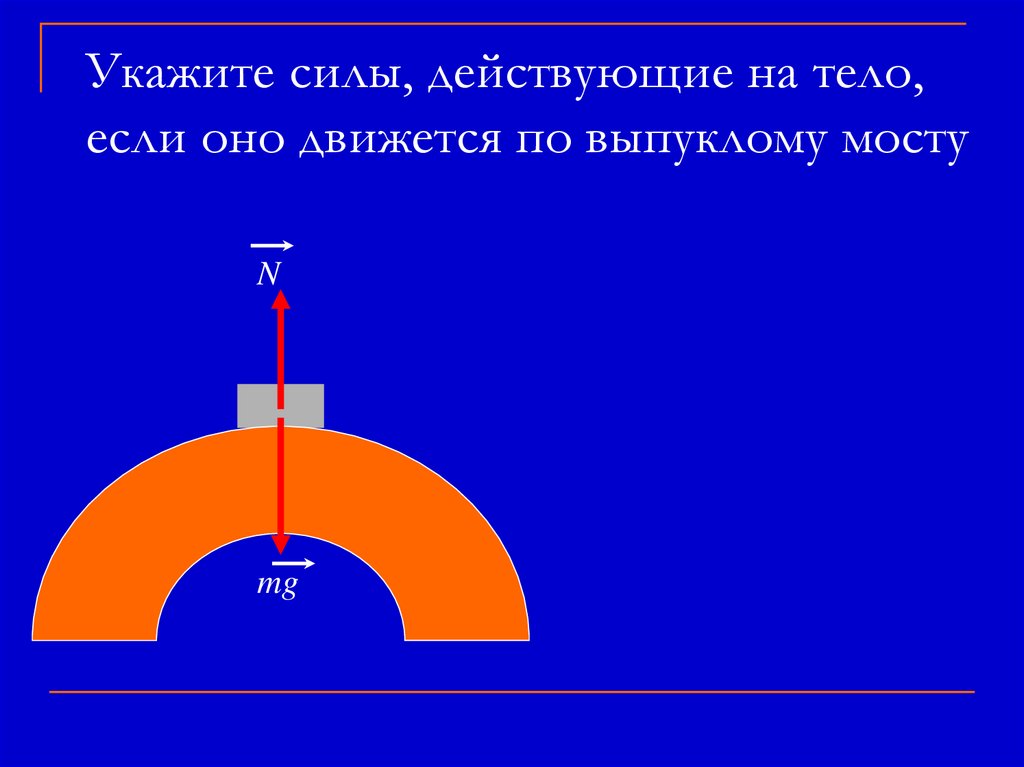 Укажите силы, действующие на тело, если оно движется по выпуклому мосту