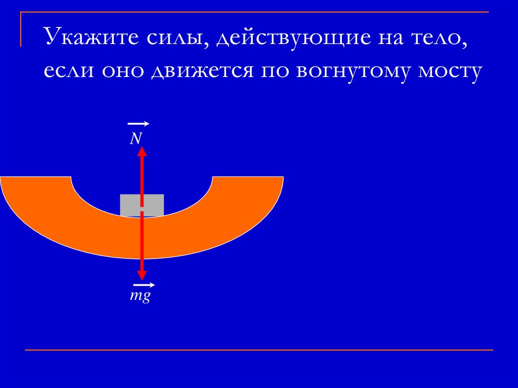 Укажите силы, действующие на тело, если оно движется по вогнутому мосту