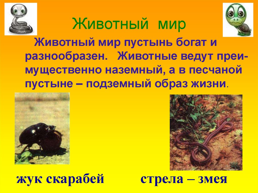 Презентация пустыни. Доклад по окружающему миру 4 класс на тему пустыни. Пустыня презентация. Сообщение о пустыне. Рассказ о пустыне.