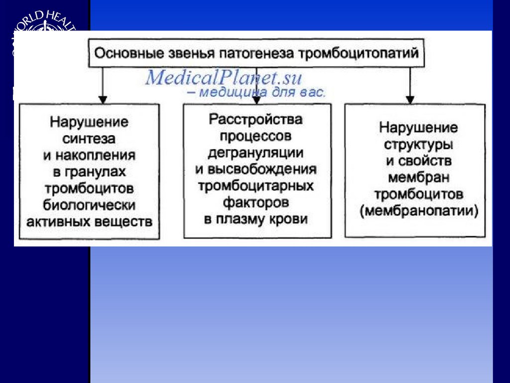 Тромбоцитопатии клинические