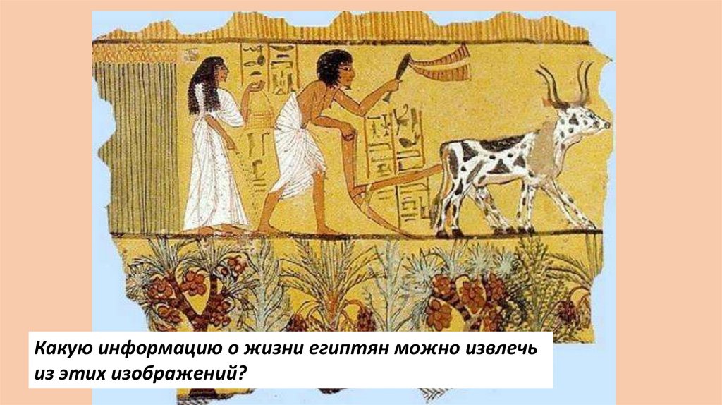 Государство на берегах Нила - презентация онлайн