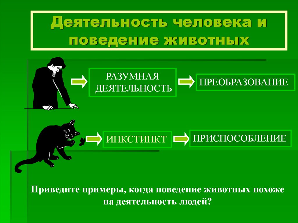 Деятельность человека и поведение животного