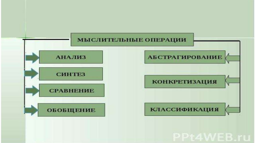 К познавательным психическим процессам относятся