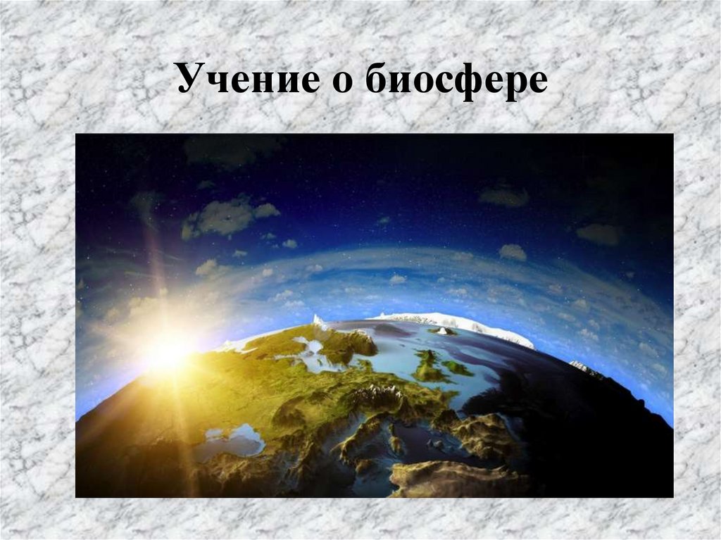 Презентация учение о биосфере 11 класс