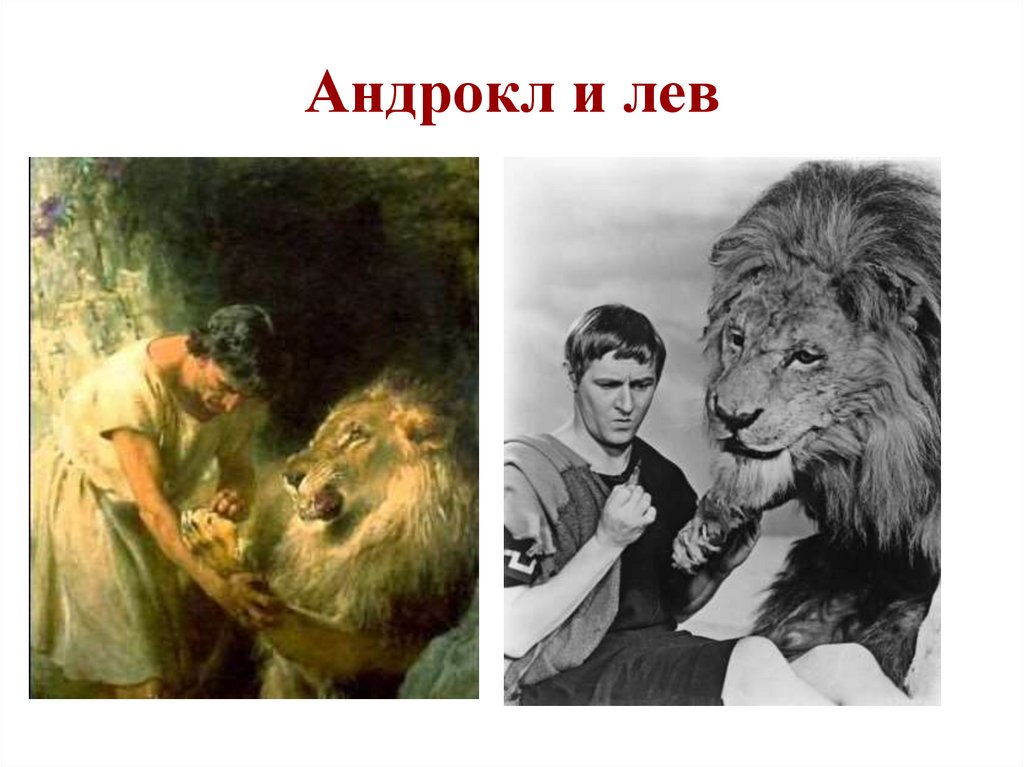 Андрокл и лев