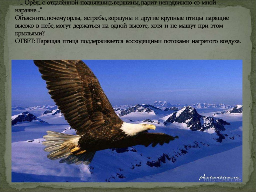 В стихотворении А.С. Пушкина "Кавказ" есть такие строки: "... Орёл, с отдалённой поднявшись вершины, парит неподвижно со мной