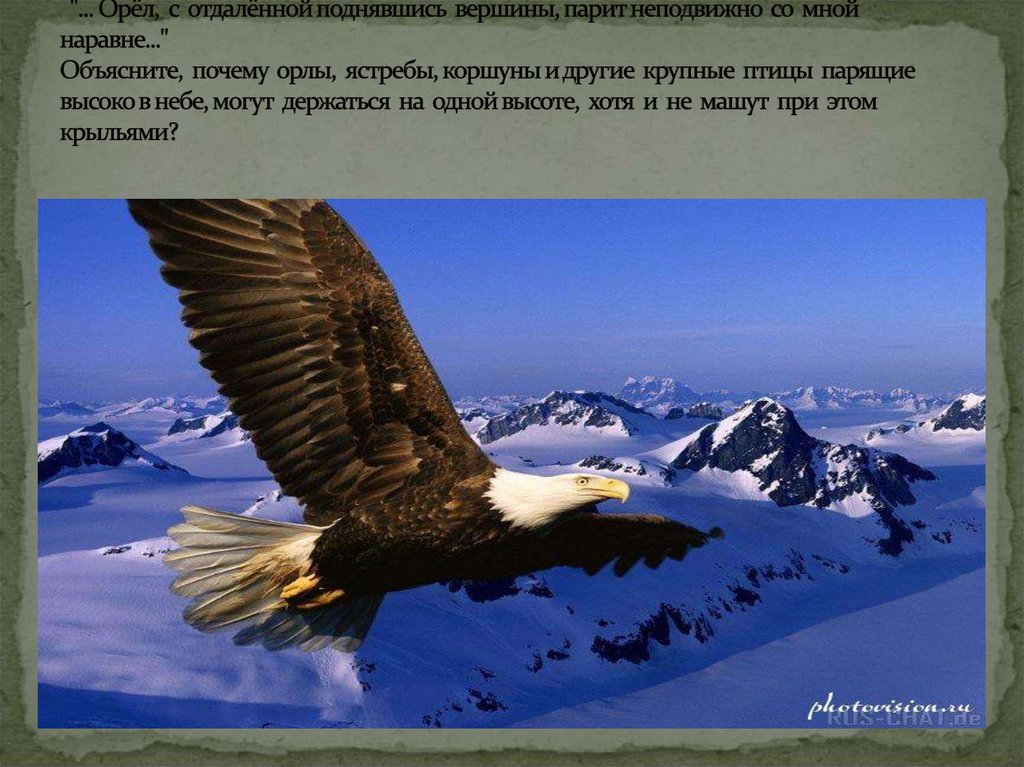 В стихотворении А.С. Пушкина " Кавказ" есть такие строки: "... Орёл, с отдалённой поднявшись вершины, парит неподвижно со мной