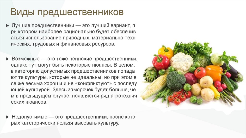 Текст овощей составить. Витамины и микроэлементы в овощах. Витамины и Минеральные вещества фрукты и овощи. Правила рационального питания. Витамины содержащиеся в овощах и фруктах.