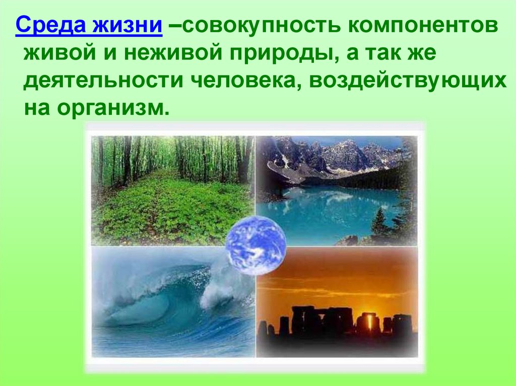 Вещества живой и неживой природы. Четыре среды жизни на земле. Среды жизни экология. Условия жизни на земле среды жизни. Основы экологии: среды жизни..