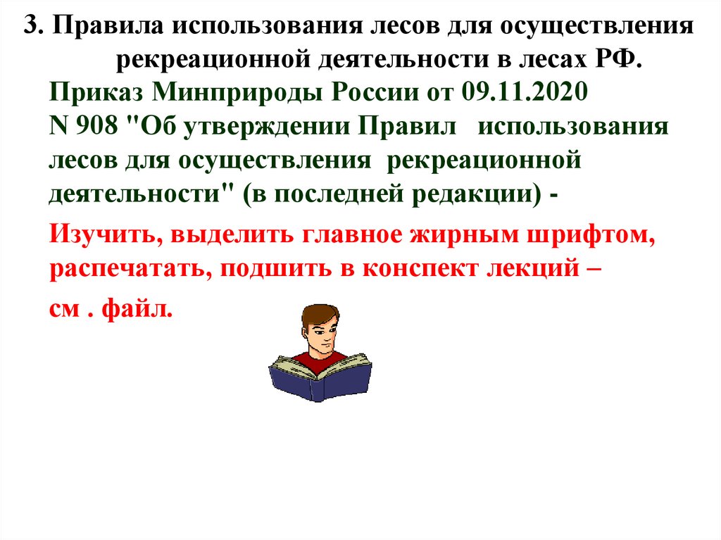 Правила использования лесов для осуществления рекреационной деятельности