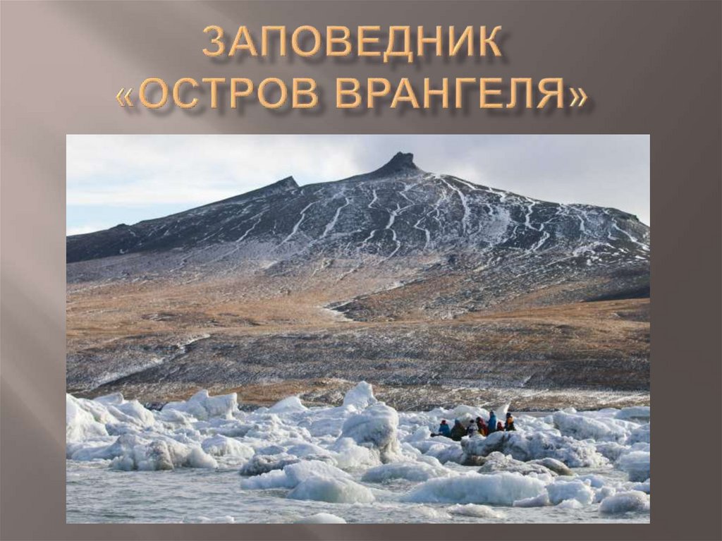 В какой природной зоне заповедник остров врангеля. Остров Врангеля заповедник. Заповедник остров Врангеля фото. Природный комплекс заповедника остров Врангеля горы. Природный комплекс заповедника  остров Врангеля писец.