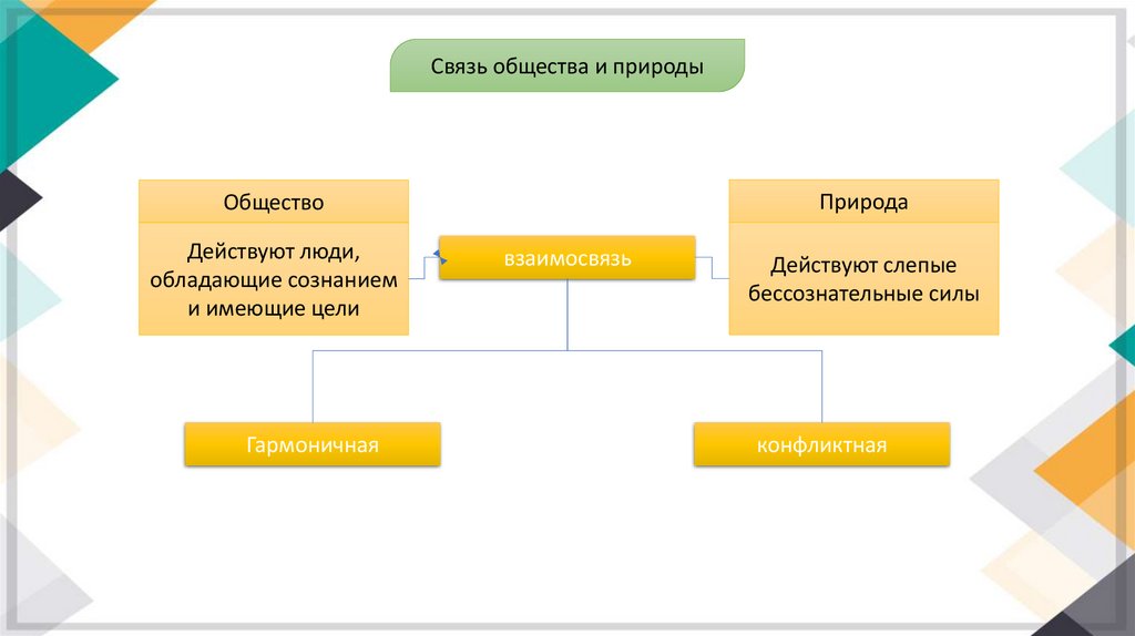 что такое общество связь общества и природы конспект урока