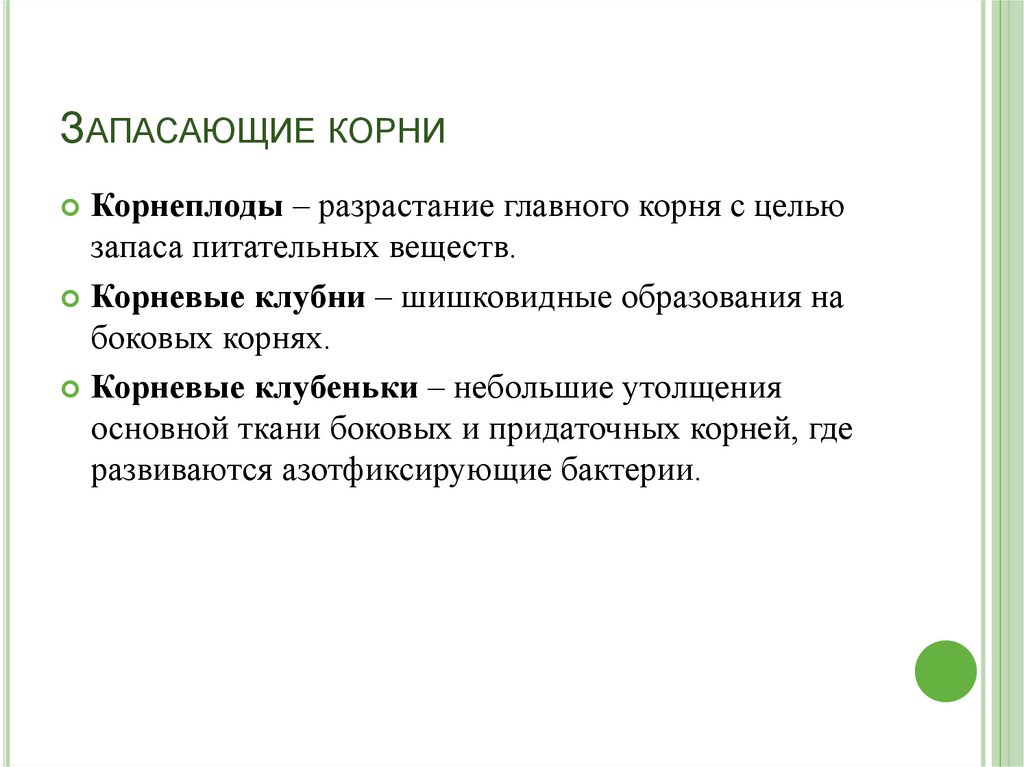 Классы цветковых растений 6 класс презентация