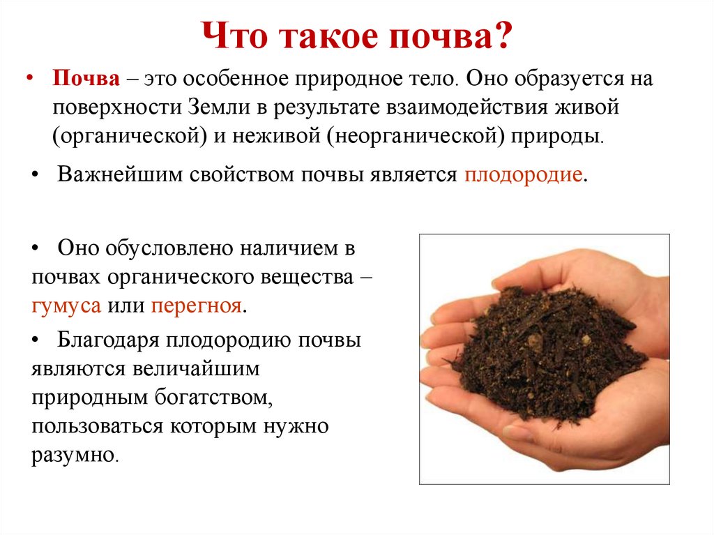 О каком свойстве почвы идет речь. Почва. Доклад про почву. Доклад по почве. Что такое почва кратко.