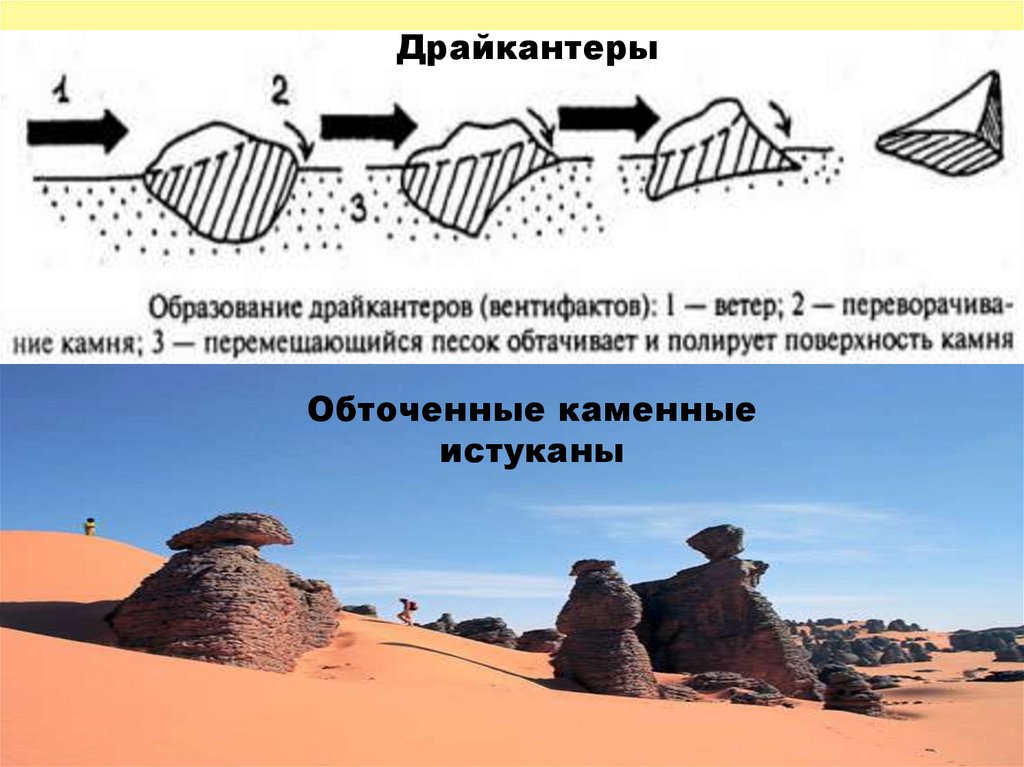 Геологическая деятельность ветра презентация