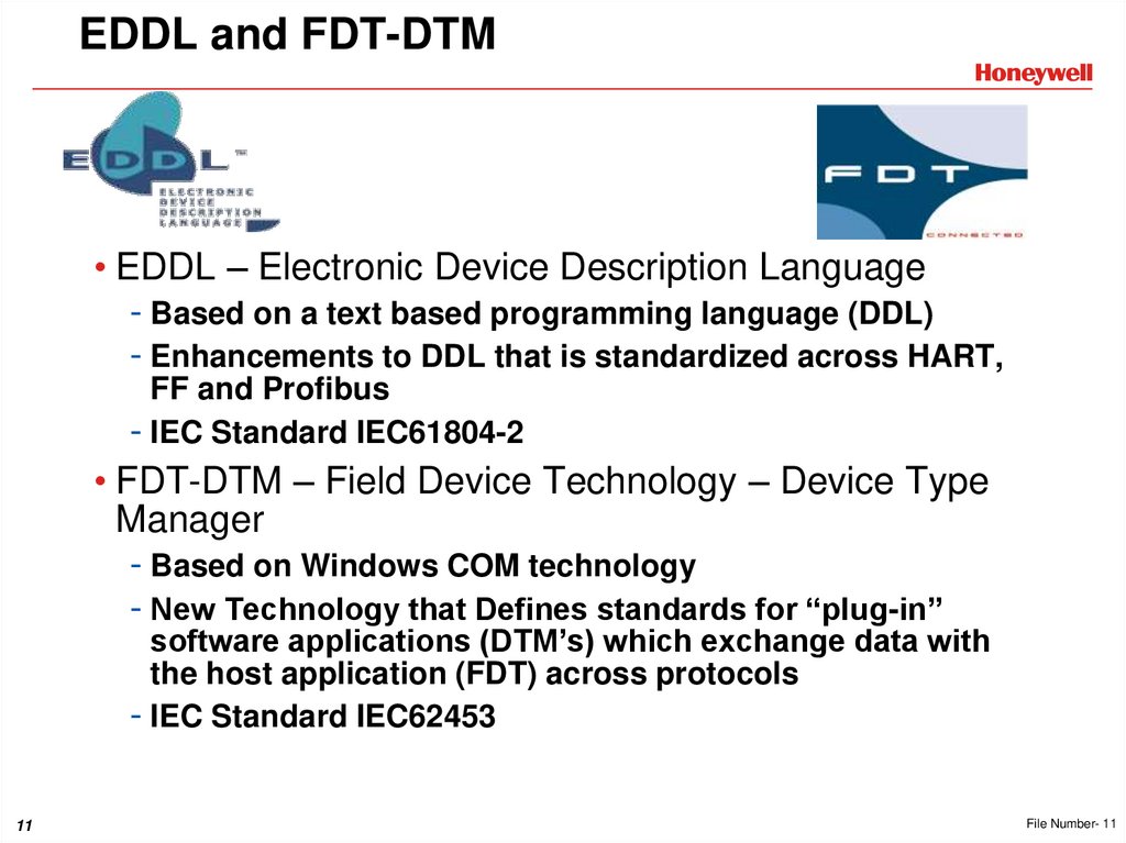 EDDL and FDT-DTM