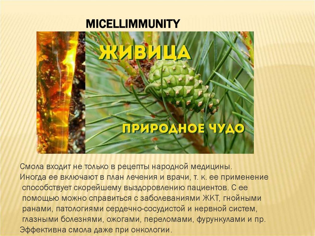 Мицеллы «NizarHEALT ®» - презентация онлайн