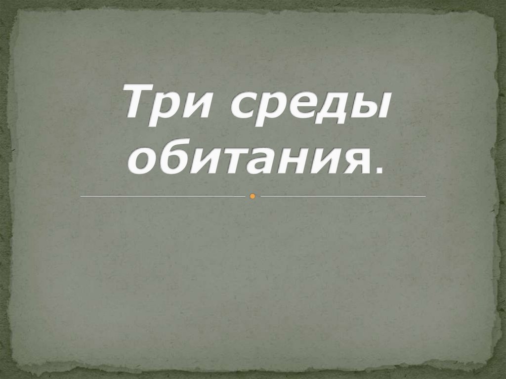 Какие 3 среды обитания есть. Какие 3 среды обитания есть