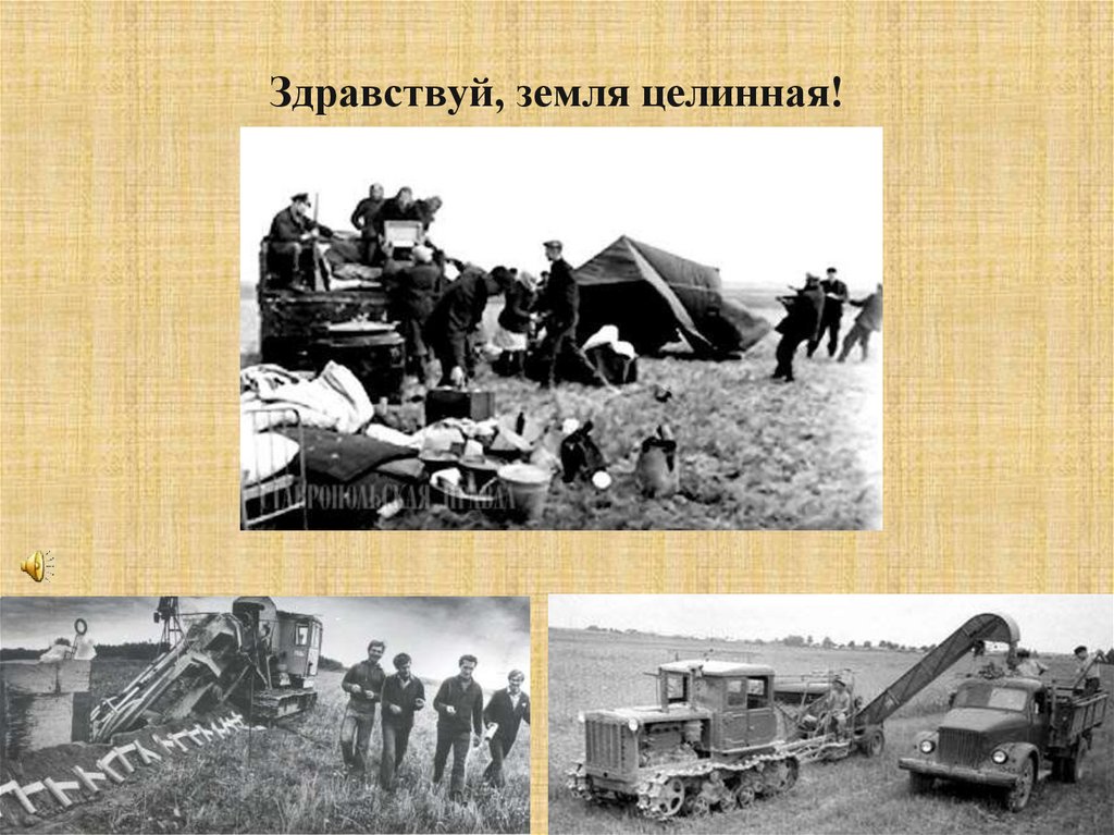 Здравствуй, земля целинная!