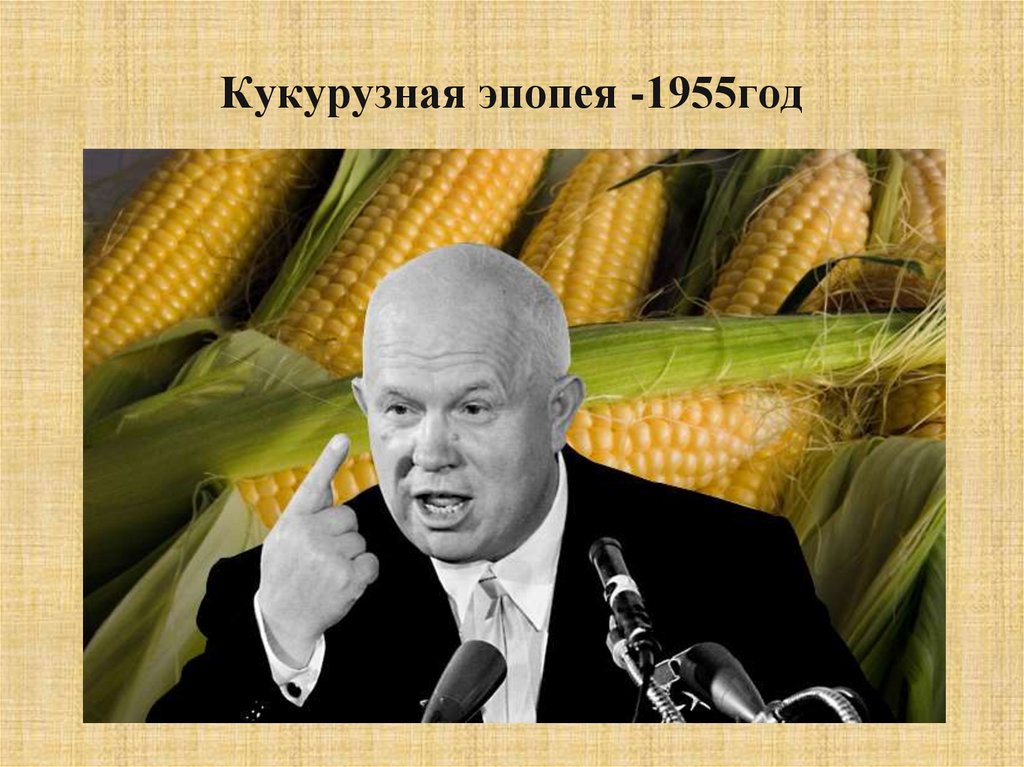 Кукурузная эпопея -1955год