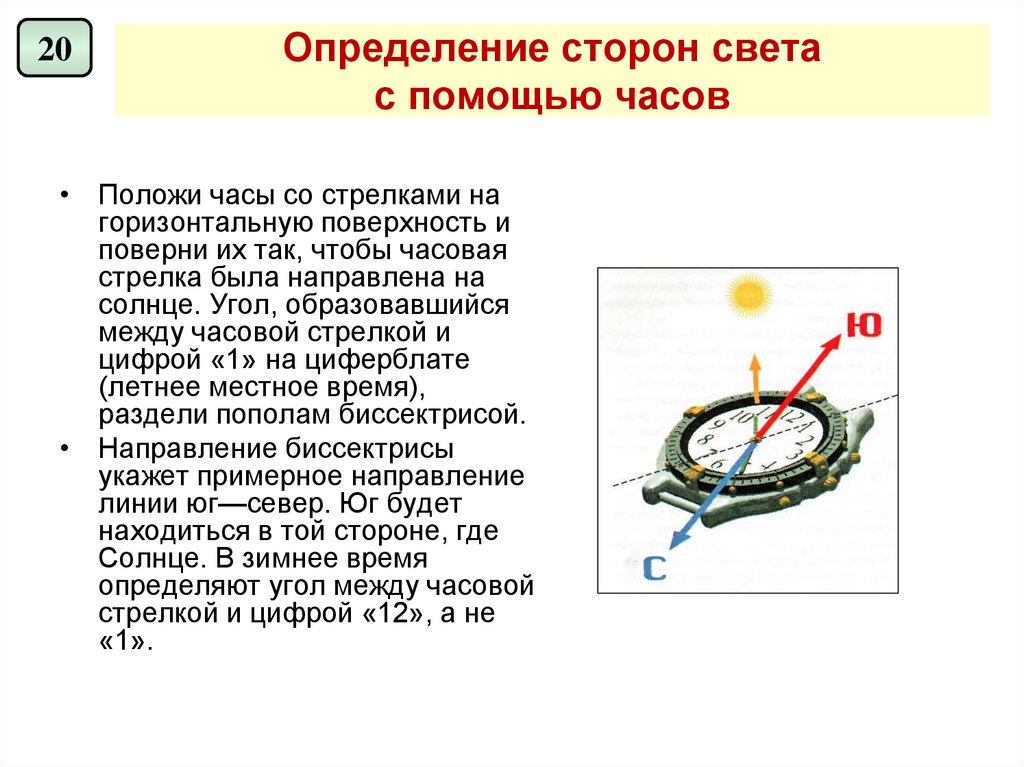 Местный определение